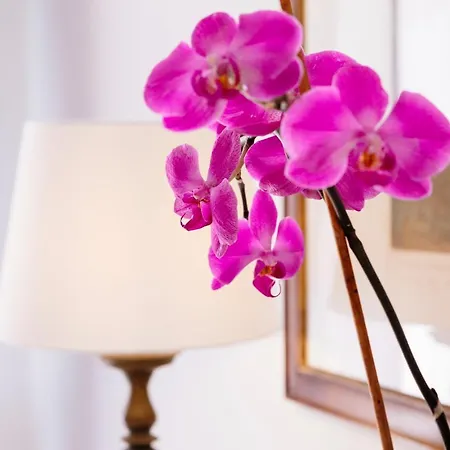 La Bizantina Luxury Guest house 4*