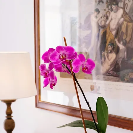 Gasthof La Bizantina Luxury Positano