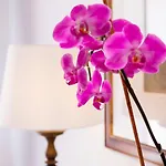 La Bizantina Luxury Guest house 4*