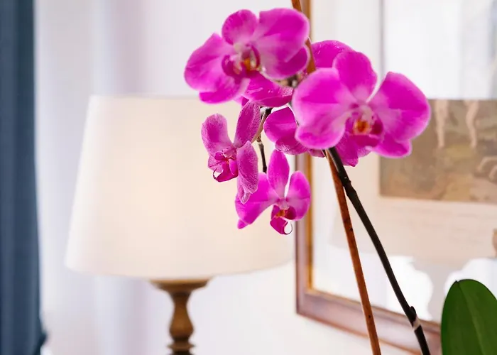 La Bizantina Luxury Guest house 4*