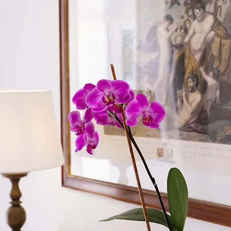 Casa de hóspedes La Bizantina Luxury Positano